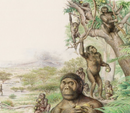 Where Did the First Humans Really Come From?